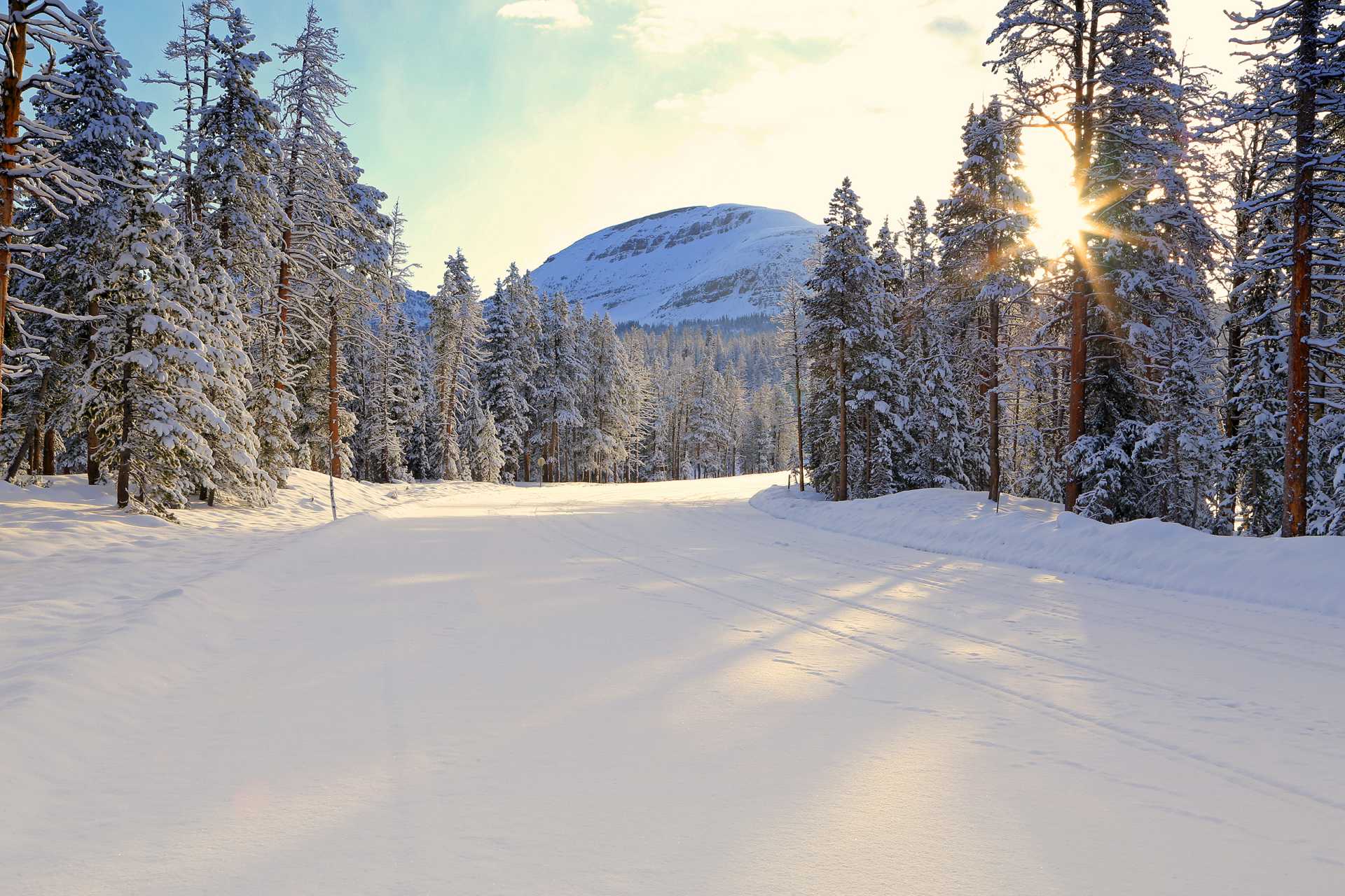 This winter Park City guide is a great place to start when you’re looking to elevate your stay in the name of adventure this year! 