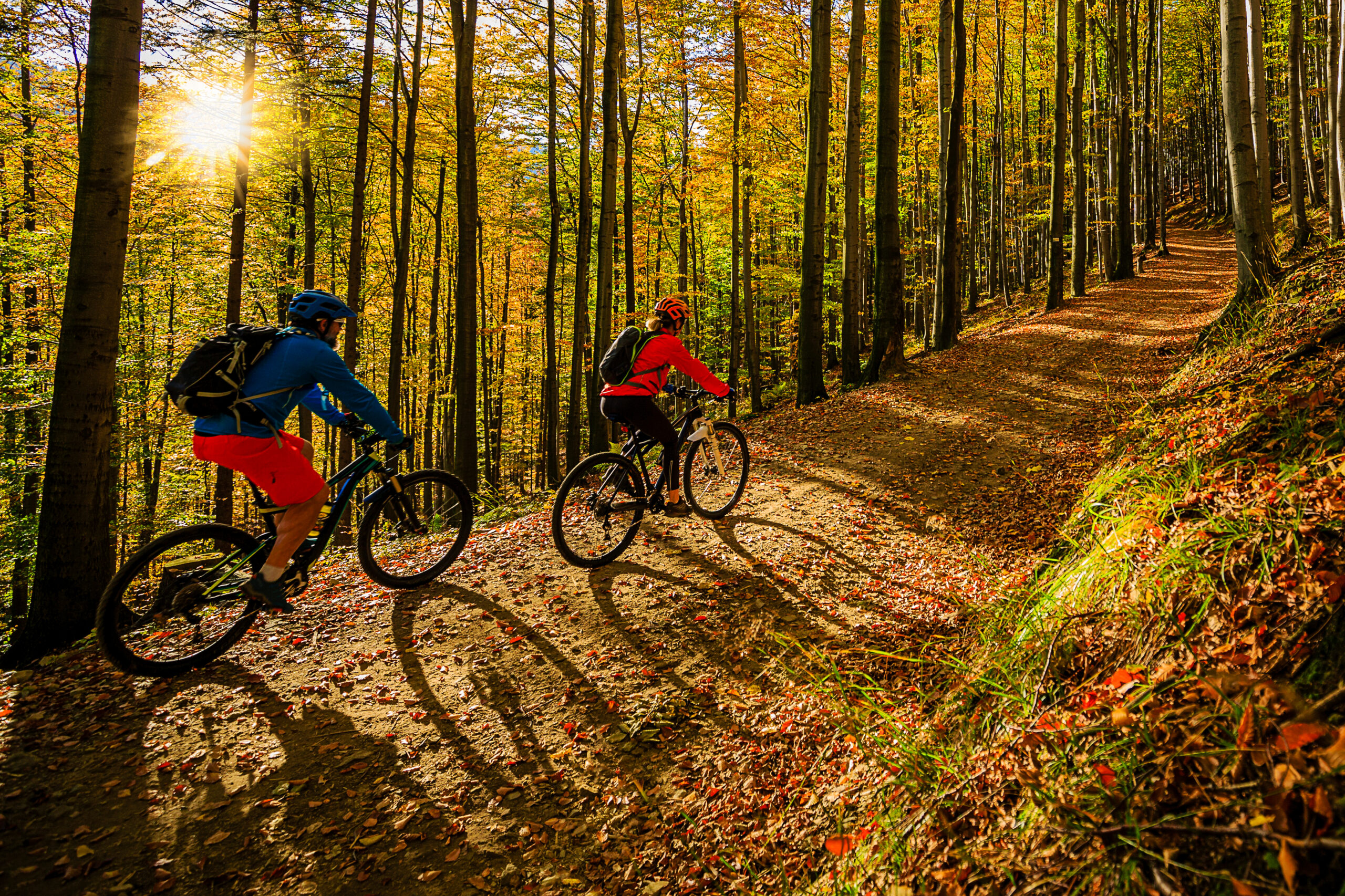 Cycling, mountain biker couple on cycle trail in autumn forest.